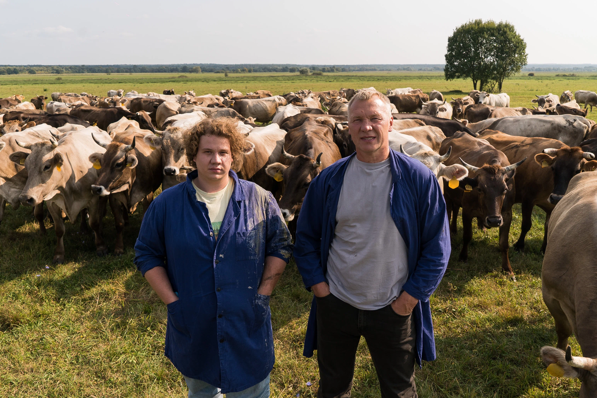 (источник: kinopoisk.ru)