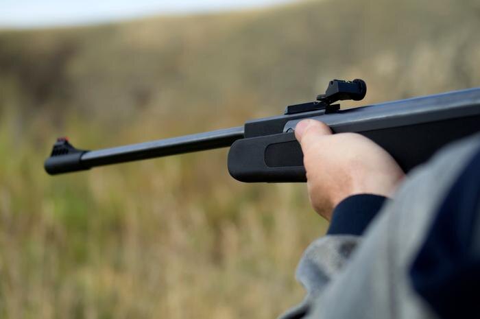 Обложка © Shutterstock / FOTODOM/ Ellen309