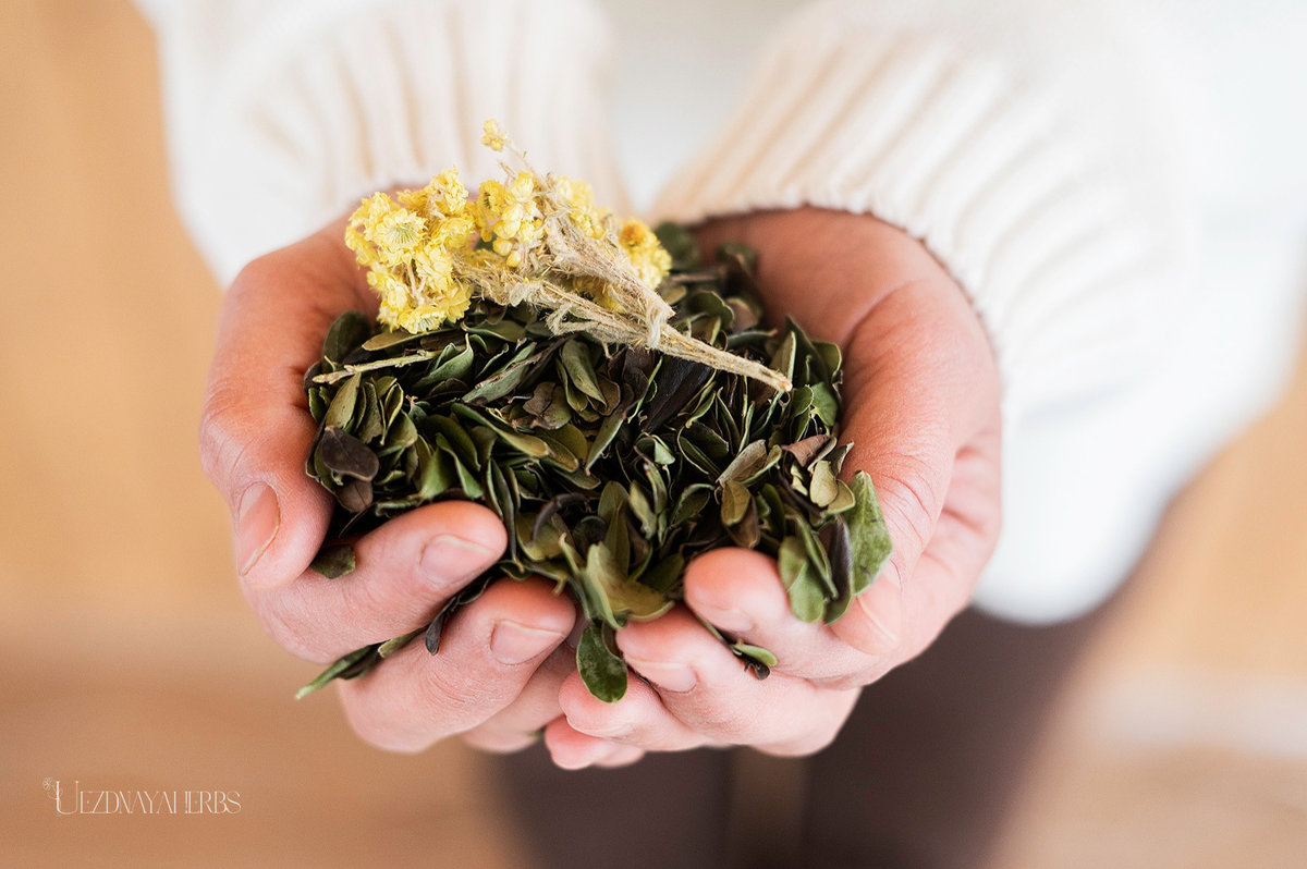 Травяные сборы для лошадей от Натальи Уездной Uezdnayaherbs.ru