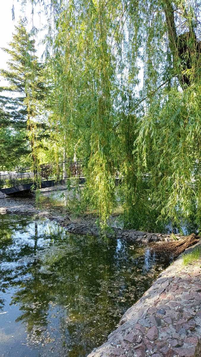 Местные виды