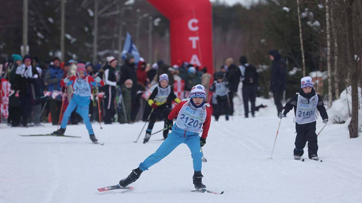   Фото: Виктор Хабаров / Вечерняя Москва