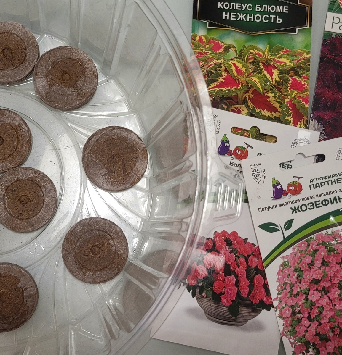 Всё готово к посеву — торфяные таблетки и пакетики с будущей красотой