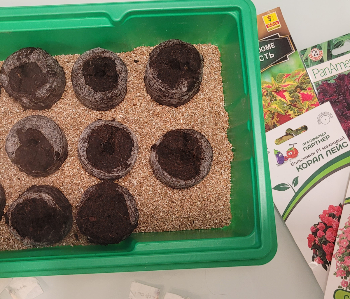 Первый шаг: таблетки напились воды, превратились в уютные «домики» и ждут своих жильцов