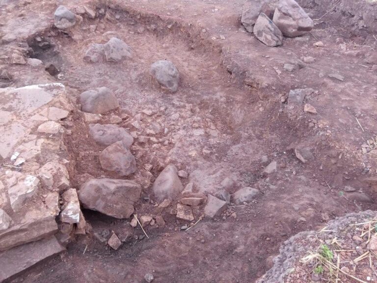    Фото: wiki commons/Victuallers/CC BY-SA 3.0 Ирина Моргунова