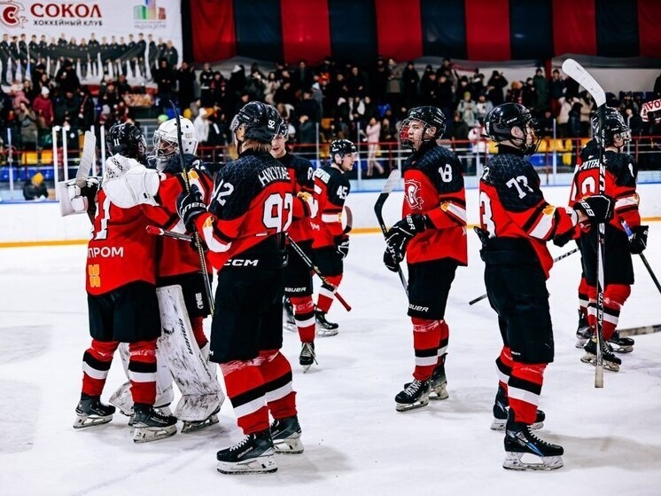     Фото: ХК "Сокол"