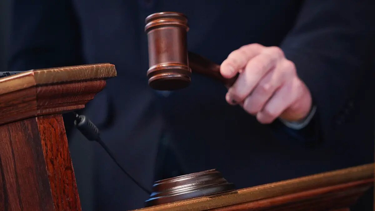    Фото: vm.ru Федор Никулина