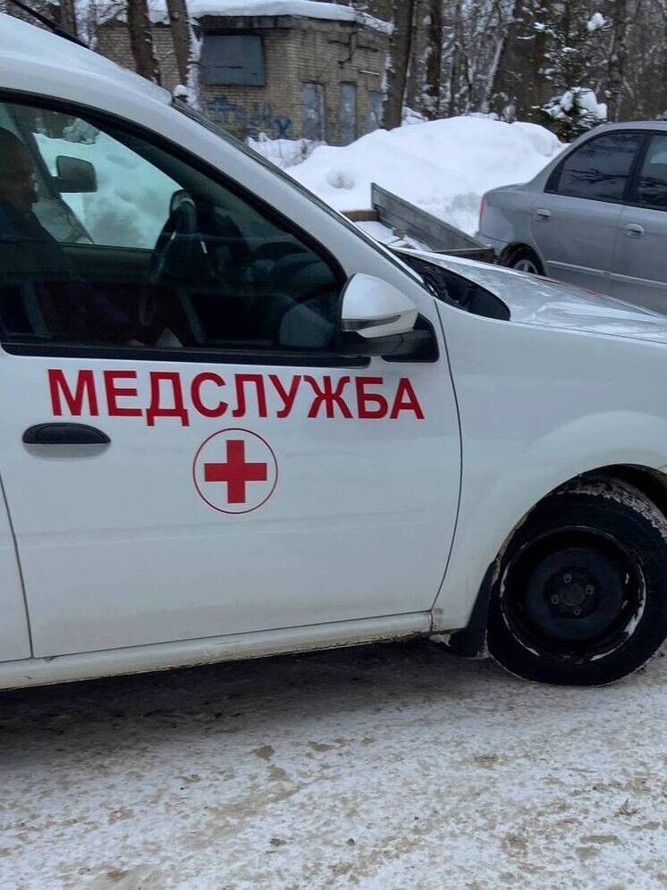   Елена Полякова