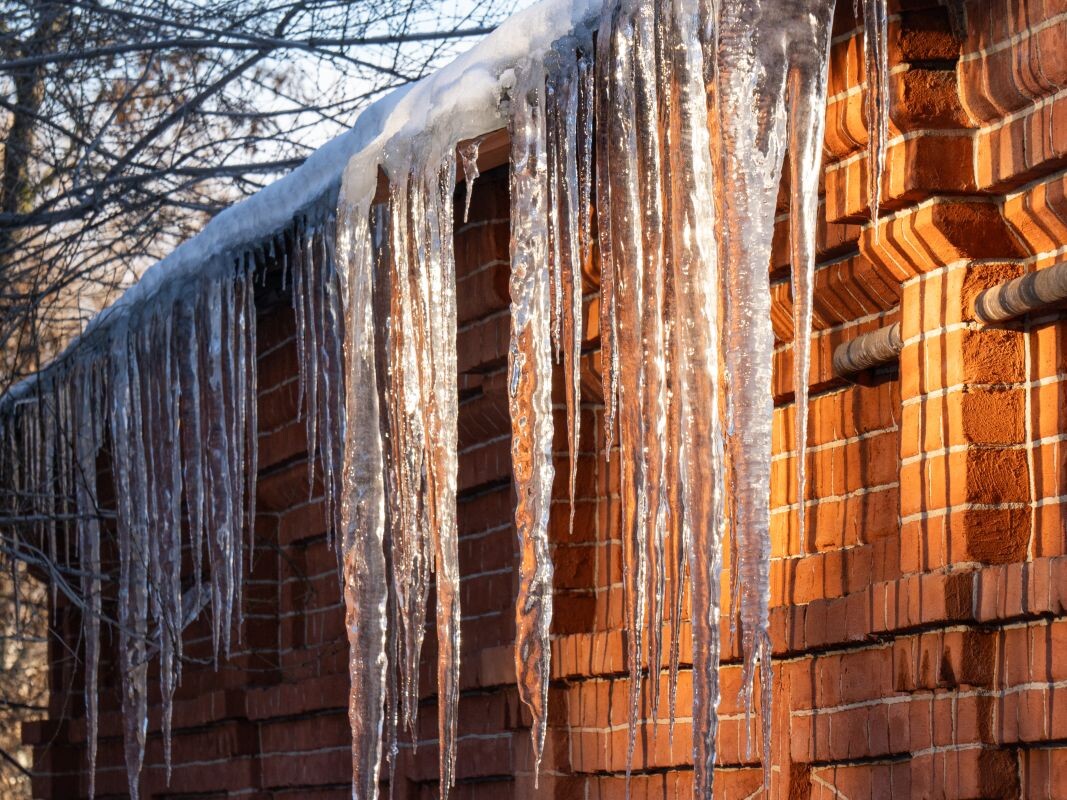    Фото: Сергей Усков