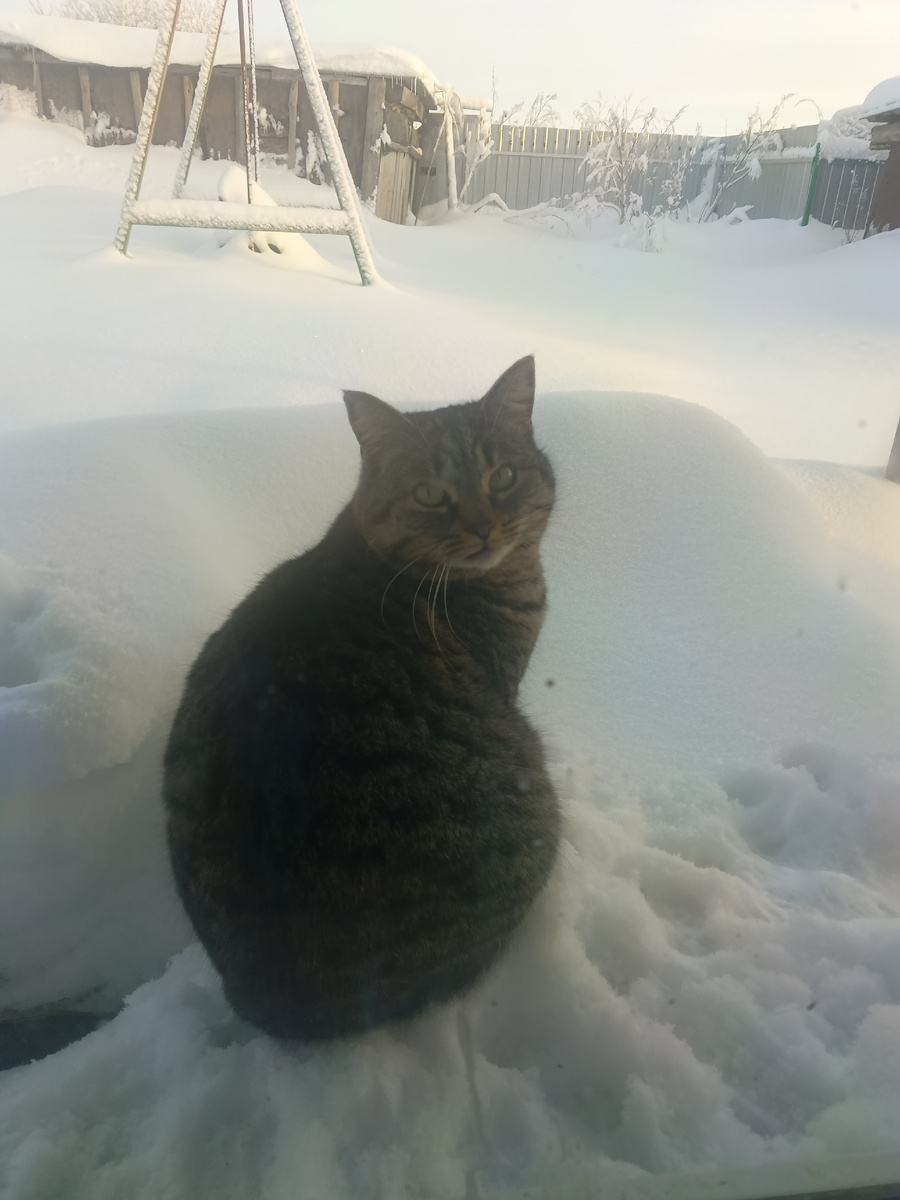 Жительница глухого преглухого села Варвара