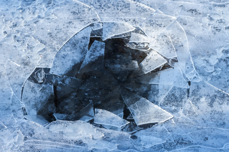    Shutterstock/FOTODOM