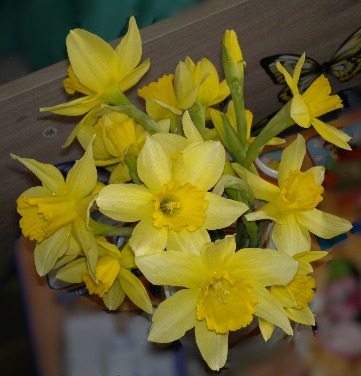 ФОТО СДЕЛАНО МНОЙ