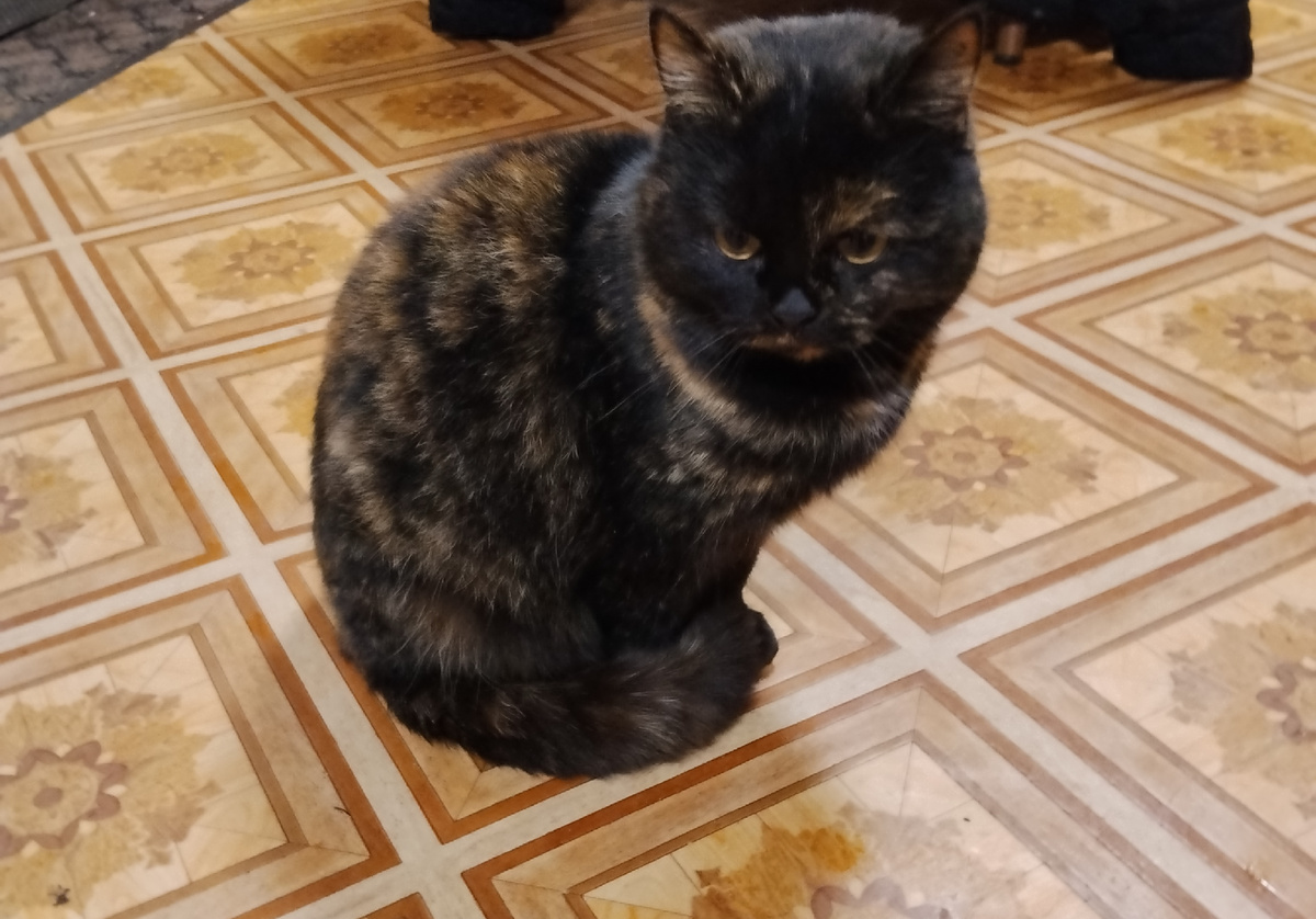 Фото автора