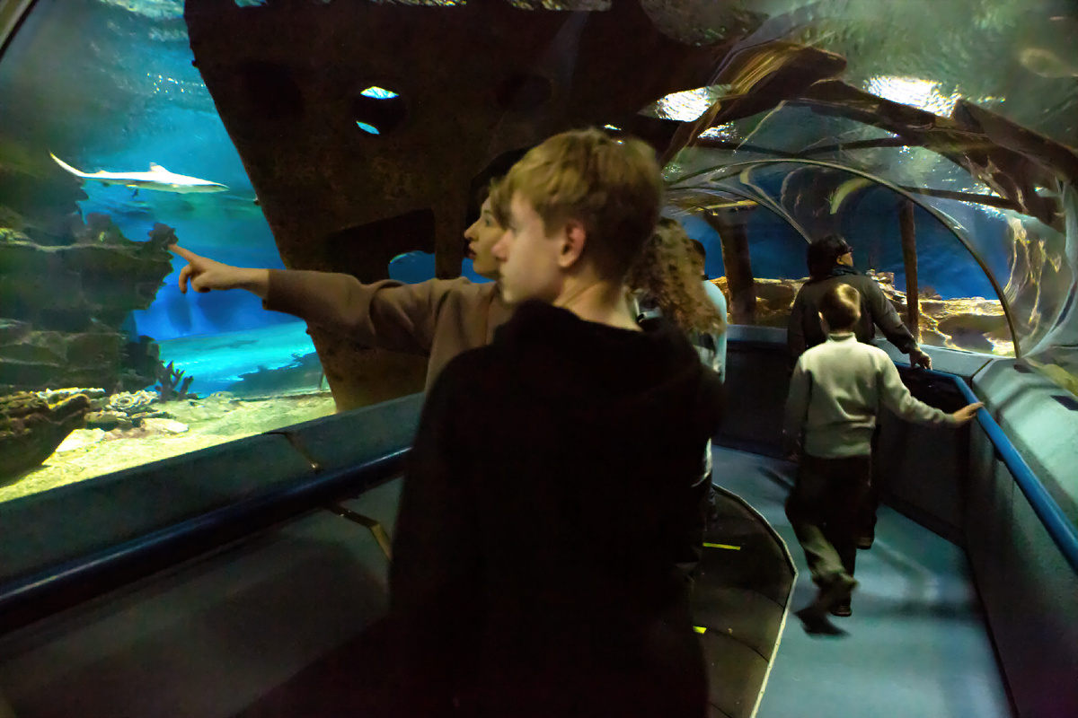 внутри тоннеля