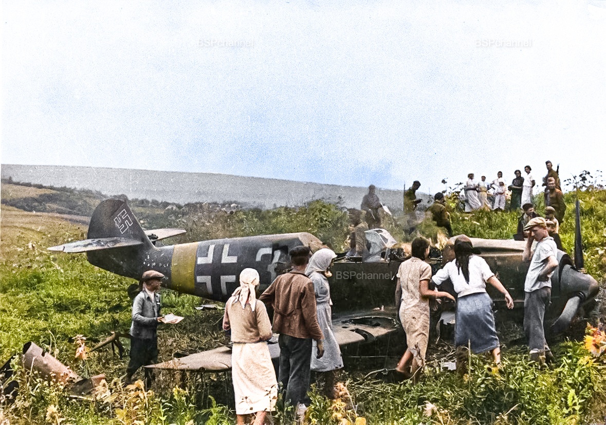 Фотограф: Георгий Зельма