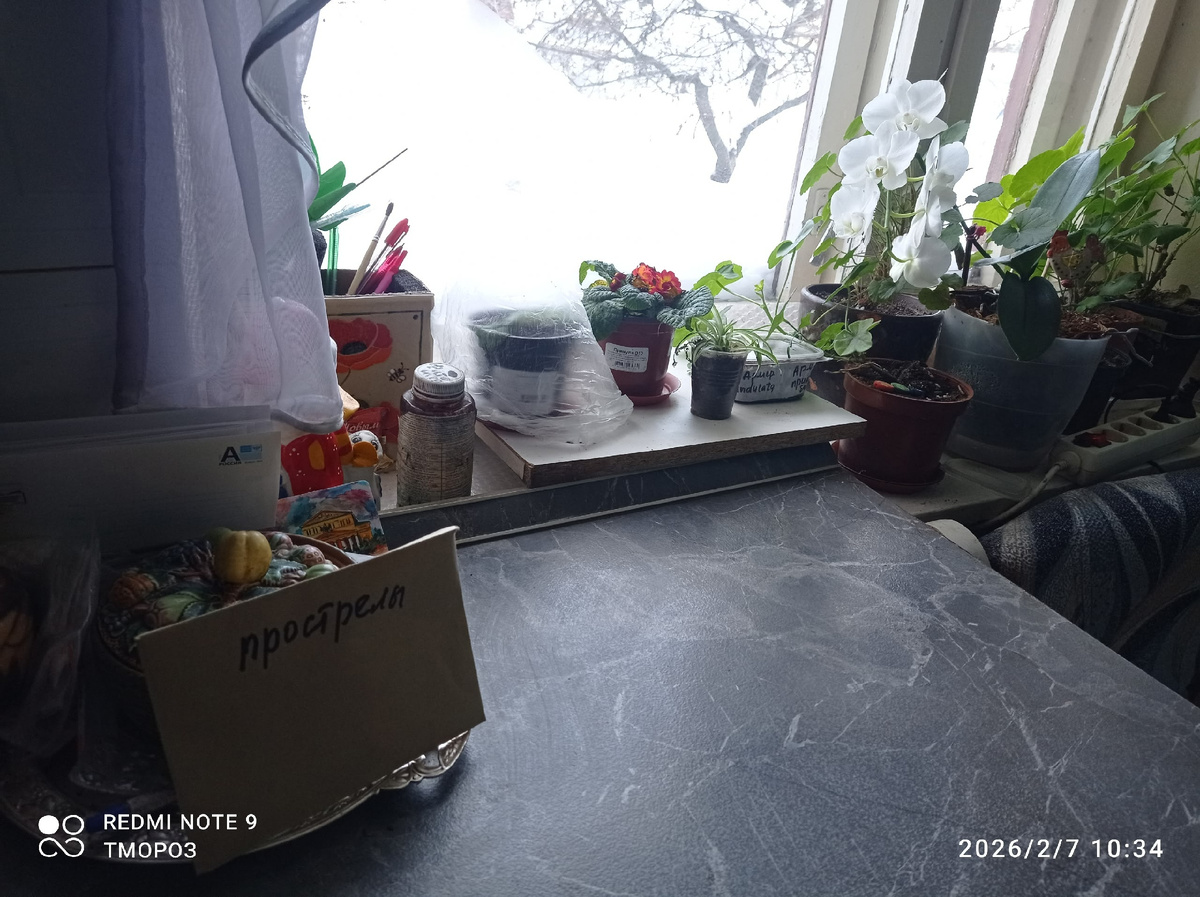 место жительства