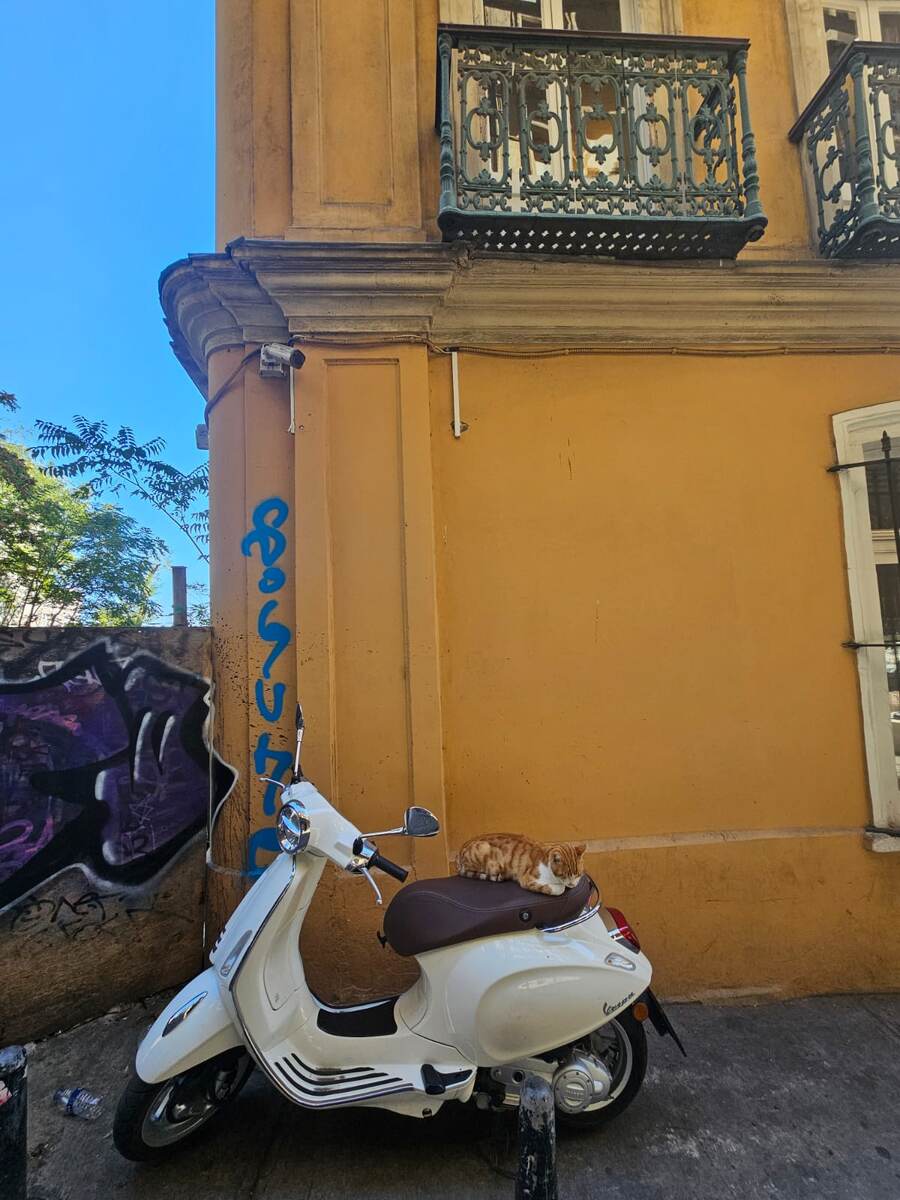 Район Галата расположен на северном берегу Золотого Рога