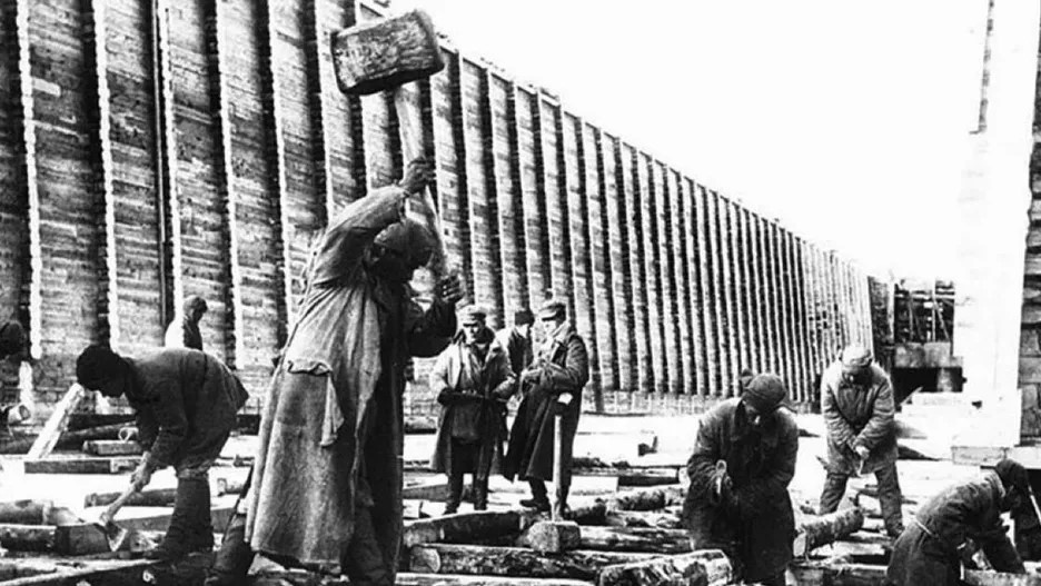 Общественное достояние (CC0 1.0).