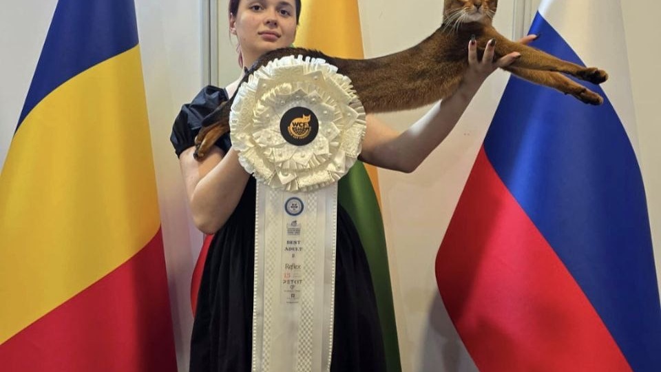 Победитель рейтинга Best Cat 2025 — кот из клуба «РосКош»!