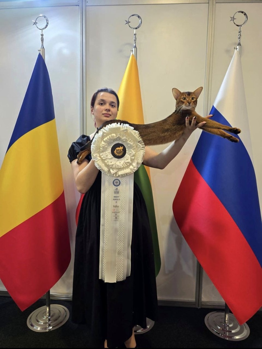 Турция, Стамбул