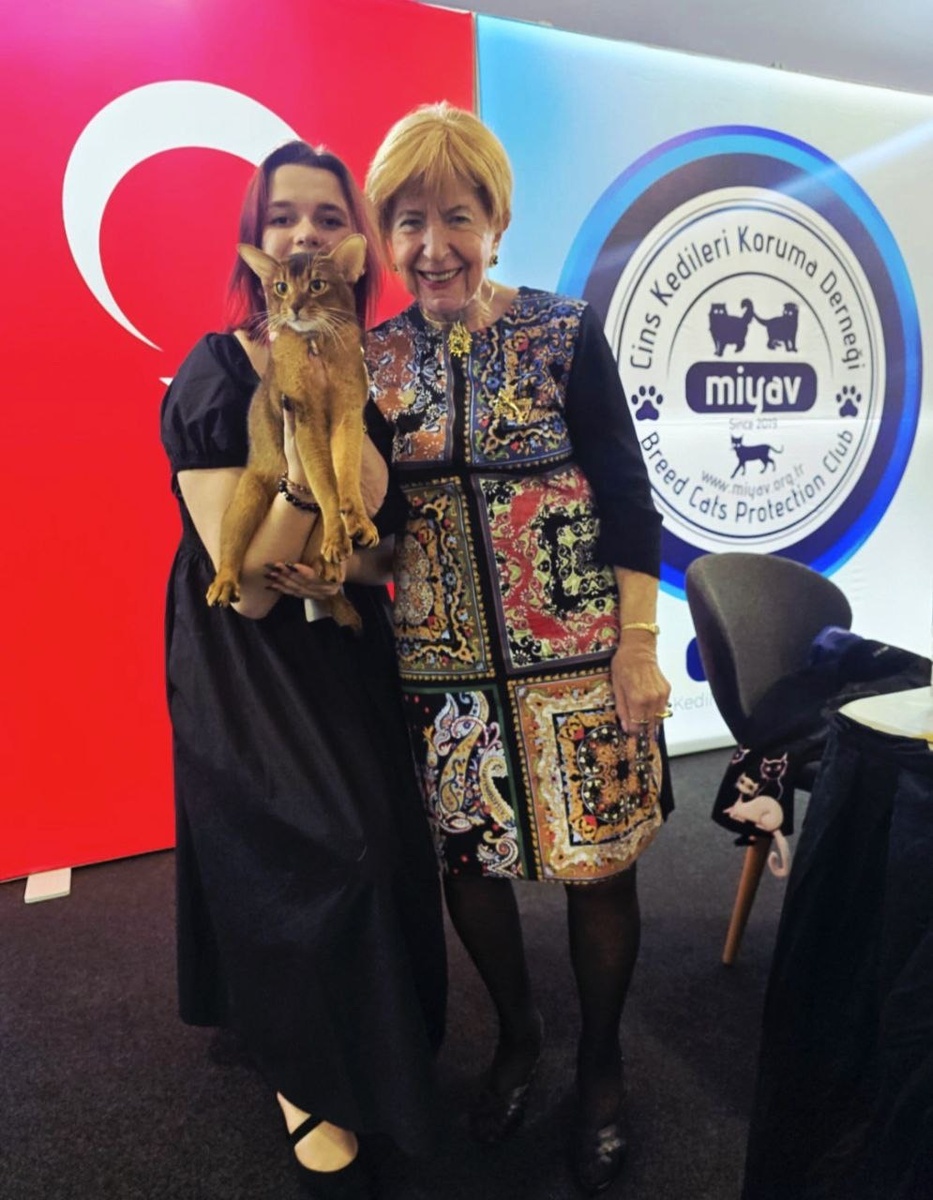 Турция, Стамбул