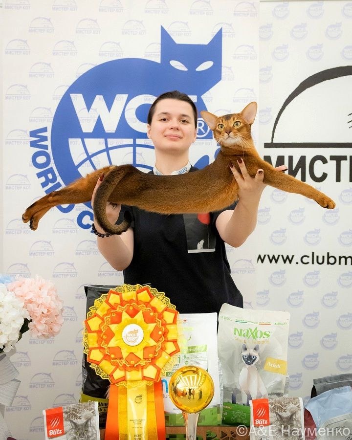 Беларусь, Минск