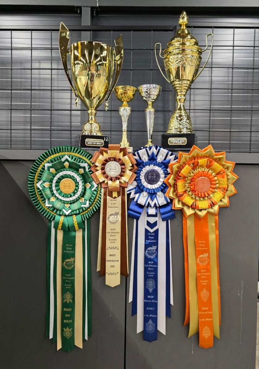 Хорватия, Загреб