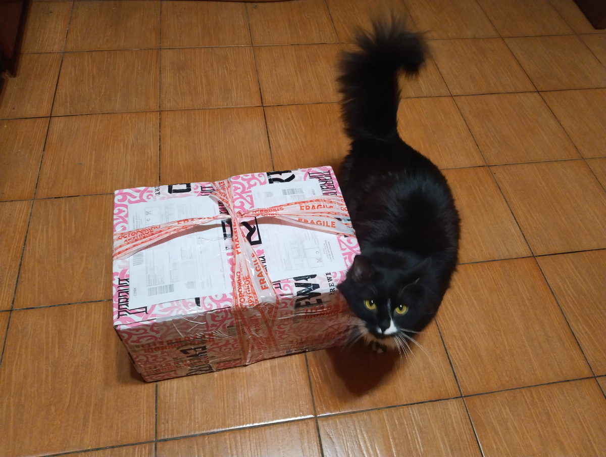 Хозяин, всё в норме, можно открывать.