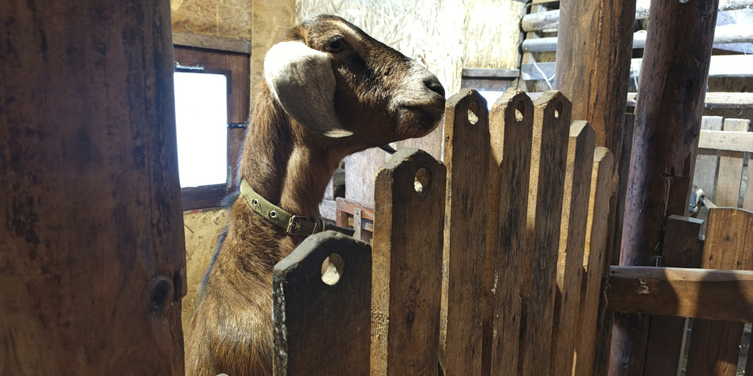Жизнь в заснеженной деревне в ожидании весны
