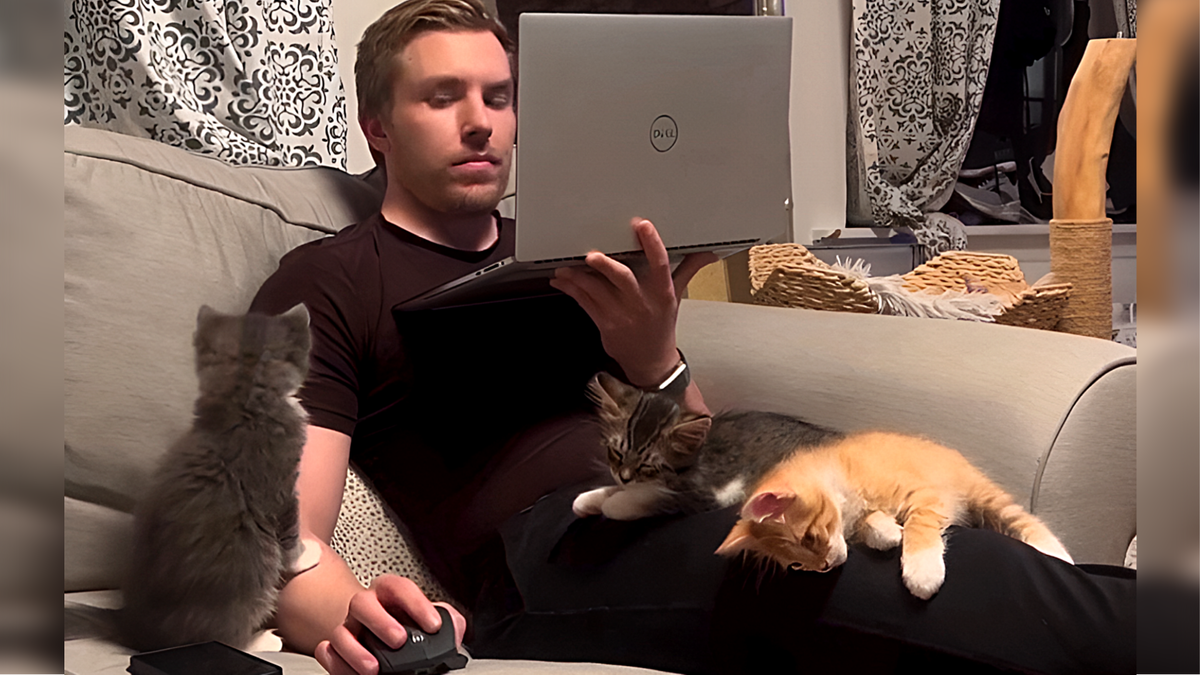 Ну что, дяденька... вы попали!