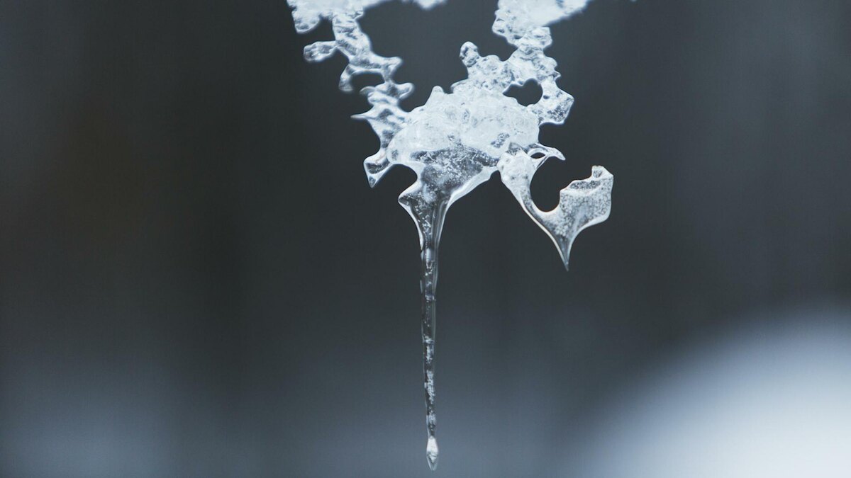    Фото: Nikolay Gyngazov/globallookpress.com