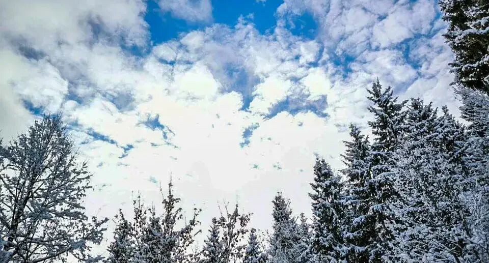    REGIONS/Роман Малышенко