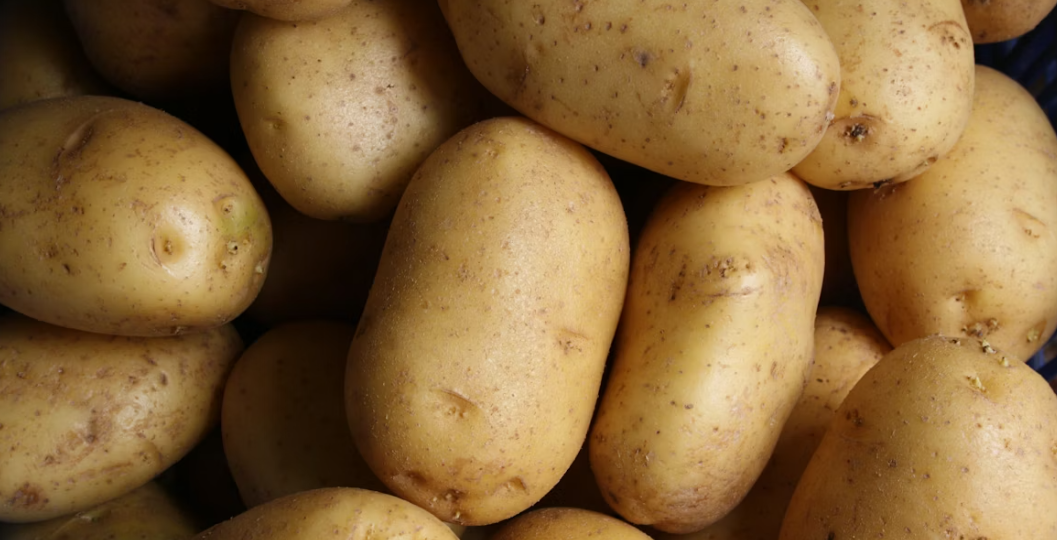 Фермеры назвали 5 самых вкусных сортов картофеля: и для пюрешки, и для жарки, и еще и болезни не бояться
