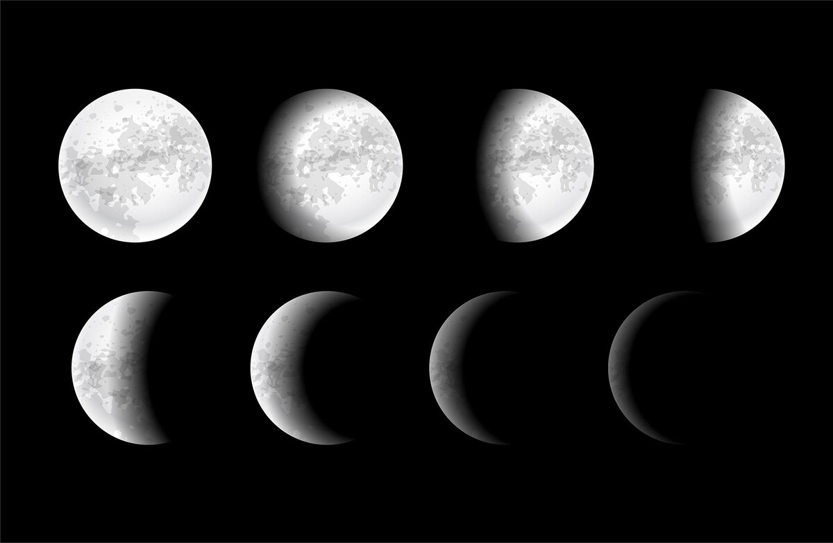  ©  starline, Freepik.com