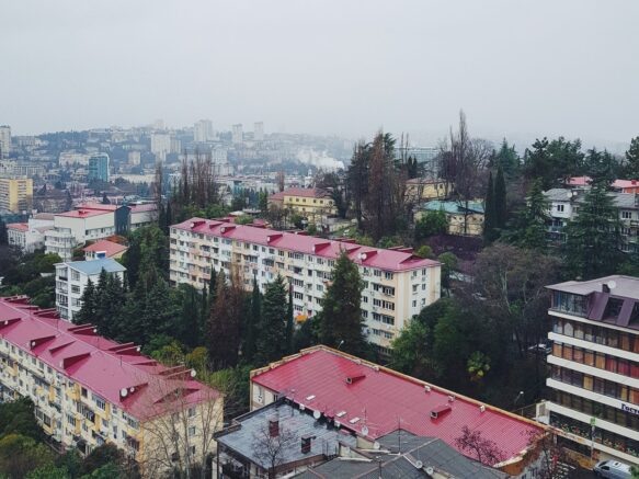    Фото: Элина Болдырева