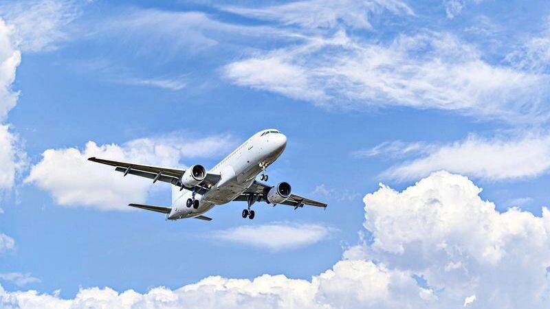    Фото: Toni. M/Shutterstock/Fotodom