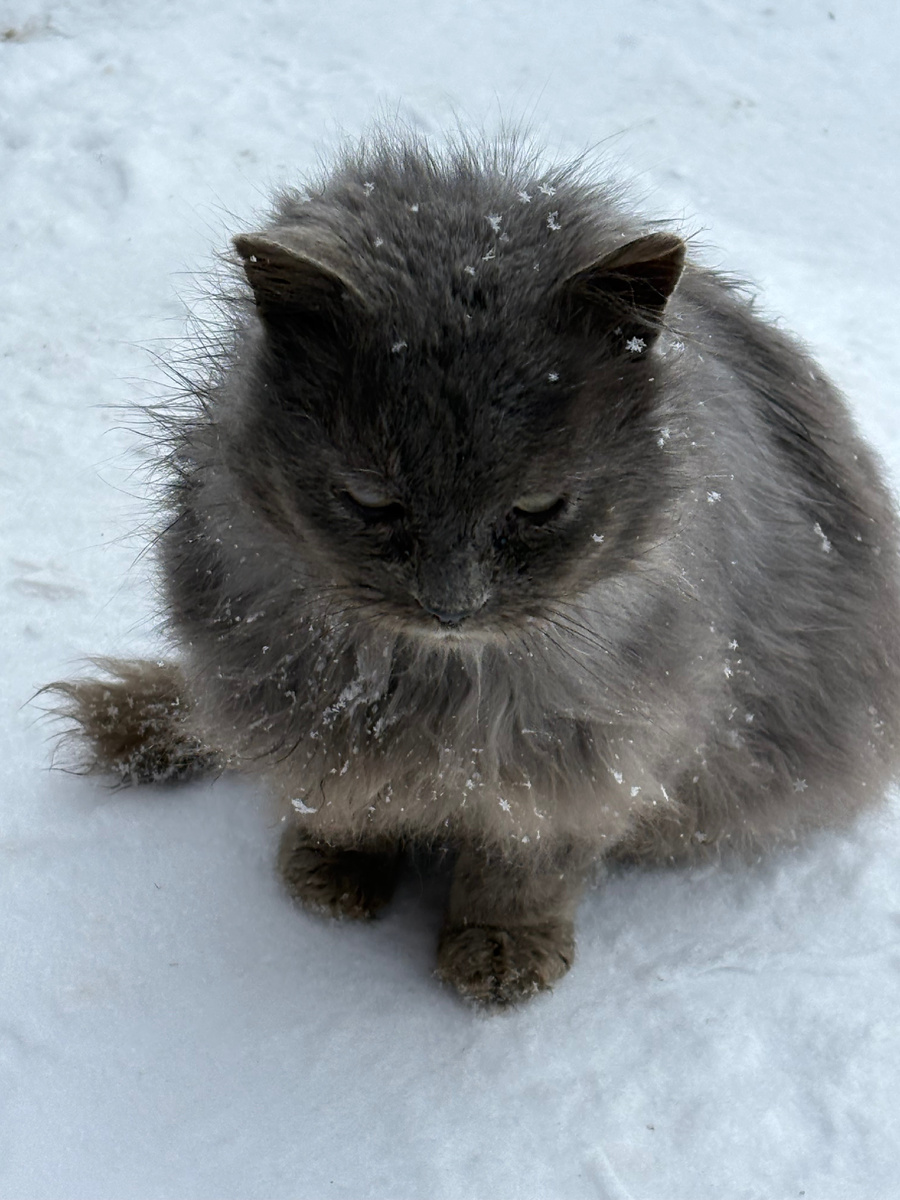 Устал я быть ответственным, хочу в гости!