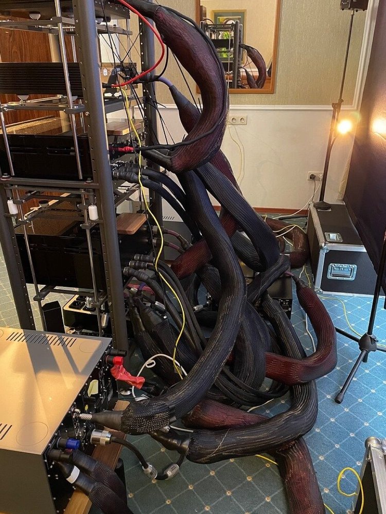 Удав проглотил Слона, помните эту историю?