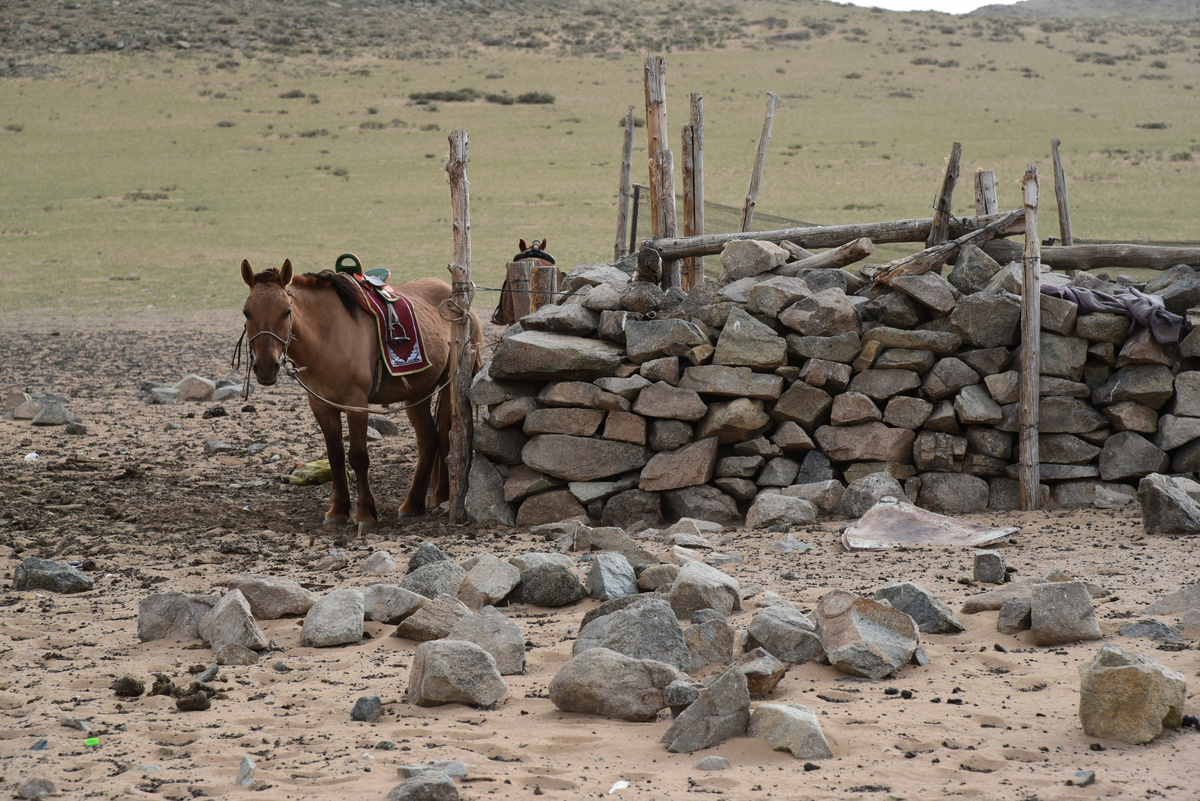 Хозяйский двор