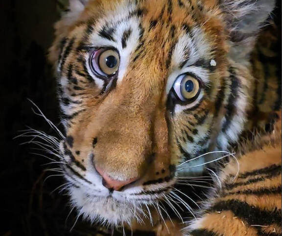  📷