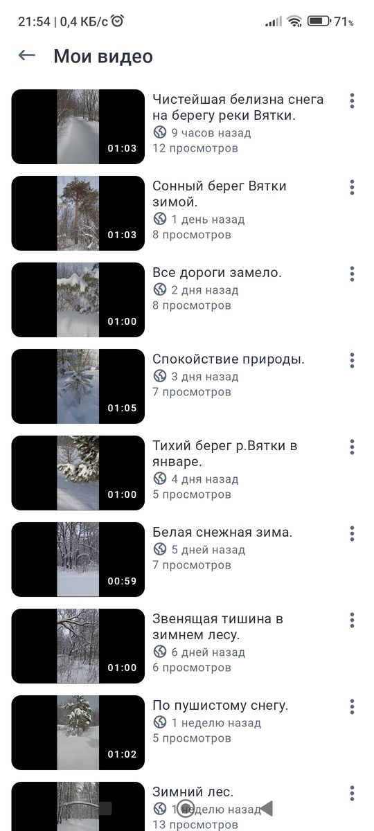 Скриншот в рутубе. Фото автора.