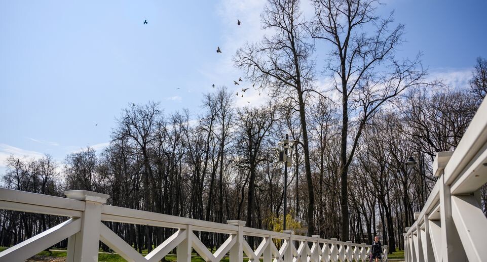    Парк усадьбы Кривякино в Воскресенске стал лауреатом всероссийской премии / медиасток.рф