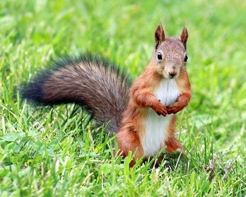 Фото из интернета