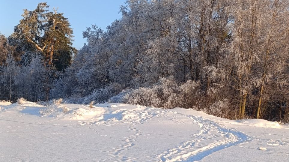 Комарово. Отель Лайнер. Зимняя сказка на берегу Финского залива
