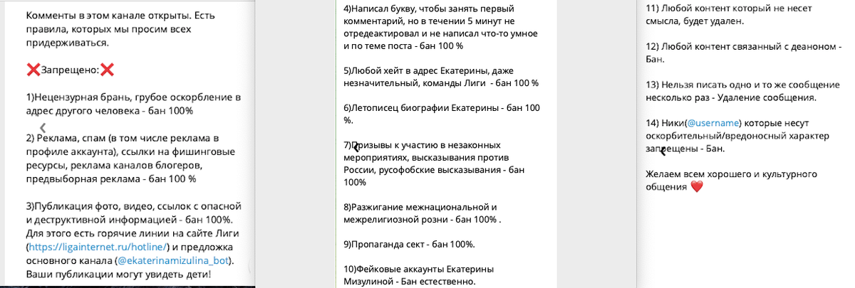 источник скриншот t/me/ekaterina_mizulina