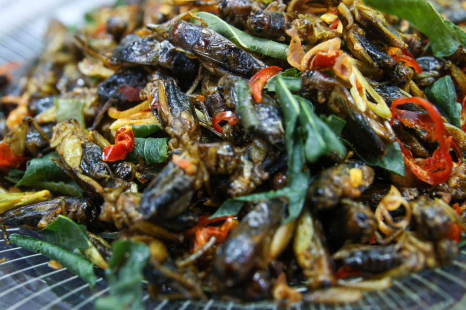    Сергей Булкин/NEWS.ru