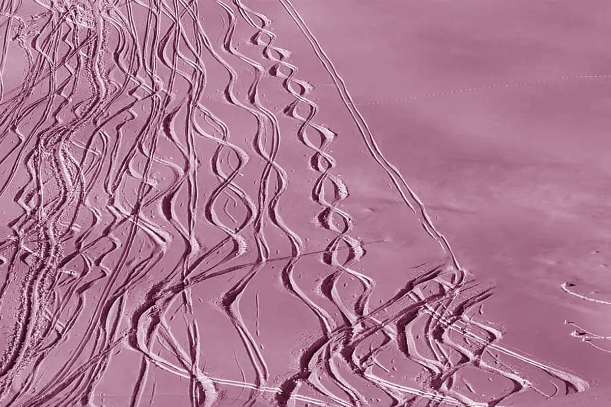 Катать, катать и еще раз катать, друзья