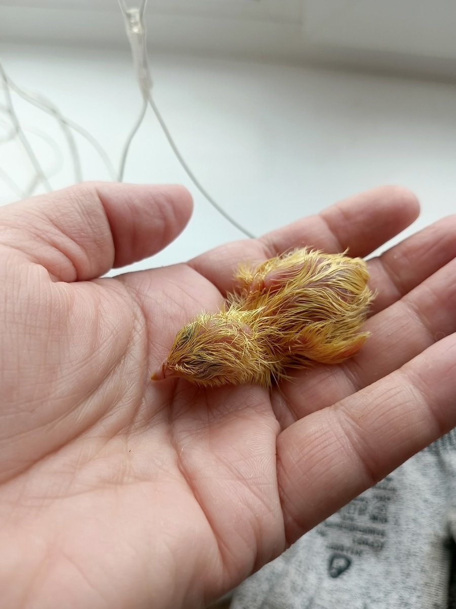 Фото из личного архива