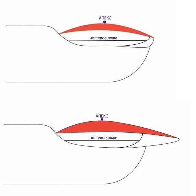 Источник изображения: https://in.pinterest.com/pin/553168766729090151/