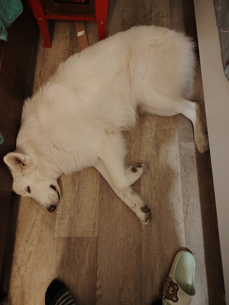 Где упал, там и спальное место. 