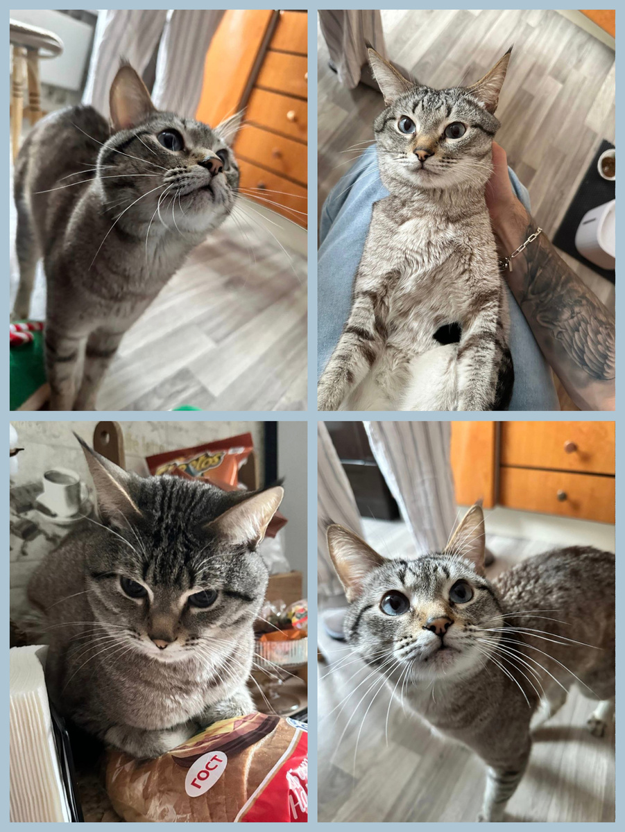 Фото автора канала.